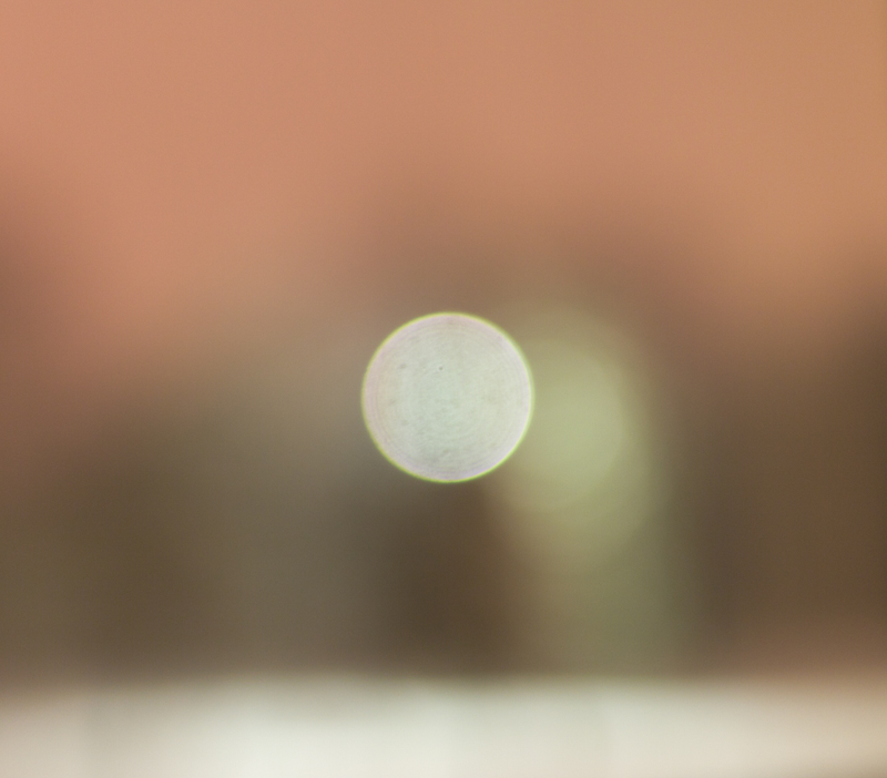 Illustration for article titled Shooting Challenge: Bokeh, Gallery 2